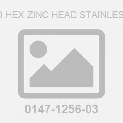 Screw: M 6X 60;Hex Zinc Head Stainless Steel Plate